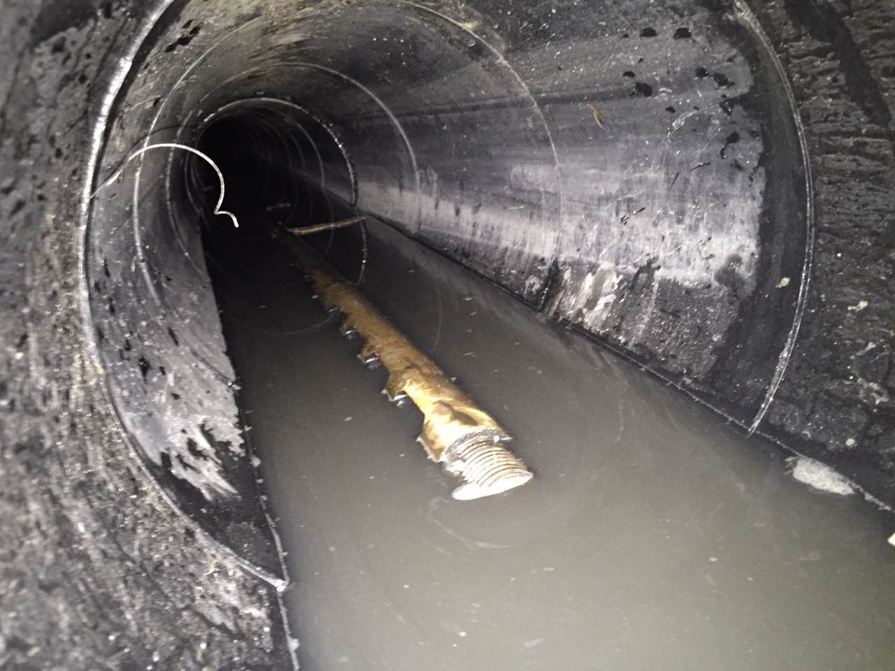 1622621420911401.png 1622621420911401.png