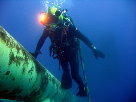 1622798538308237.jpeg 6e0ab4904cd00e0b9e6ce0a92e.jpeg